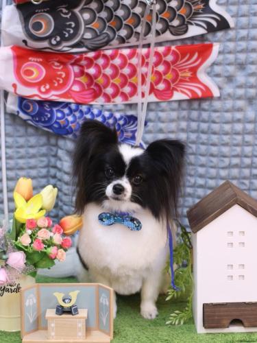 20230519ルアナちゃん